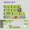 gekko-New